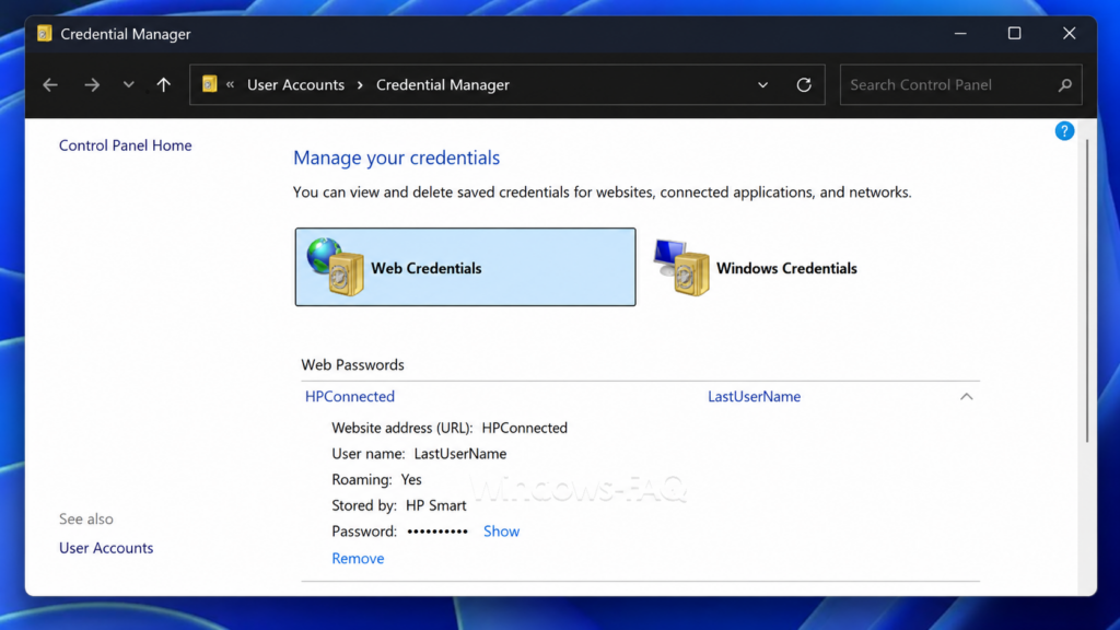 Saved passwords in Windows 11 Credential Manager